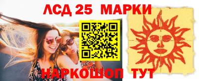 индика Гагарин