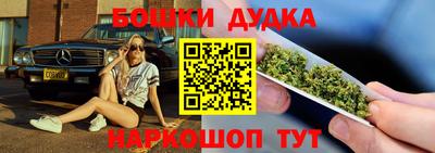индика Гагарин