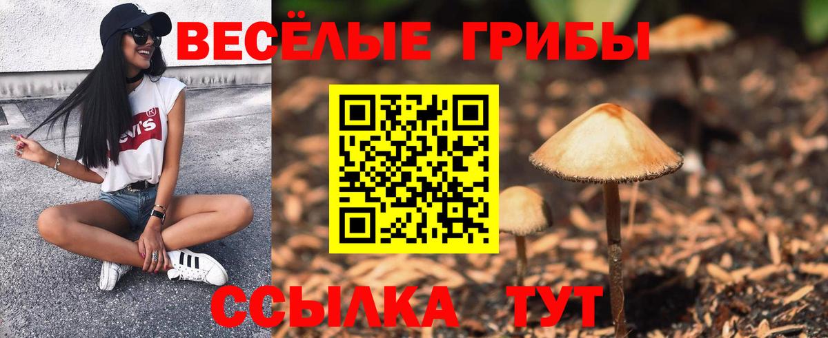 Меф  Хмурый  Конопля  Круглые  Кашира  Бошки Шишки  Гарик  Вход с VPN  MDMA  МЕТ  КОКАИН 