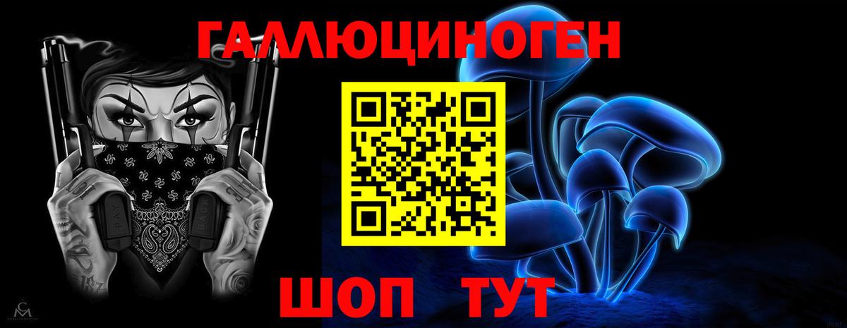Кашира  Галлюциногенные грибы MAGIC MUSHROOMS  Вход с VPN  Галлюциногенные грибы мицелий 